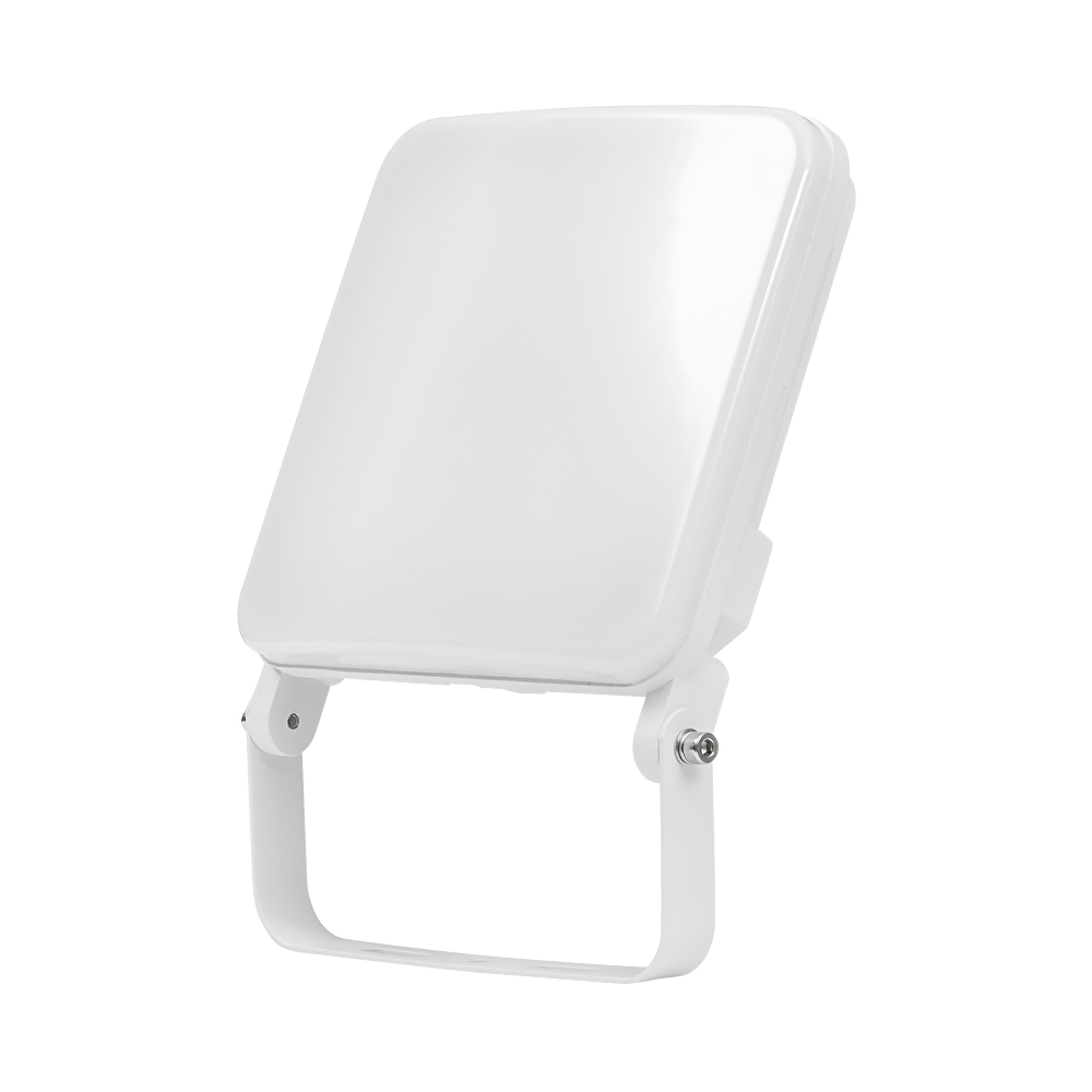 LED ПРОЖЕКТОР БЕЗ ЗАСЛЕПЯВАНЕ 30W, 4200K, 220V-240V AC, IP65, БЯЛ